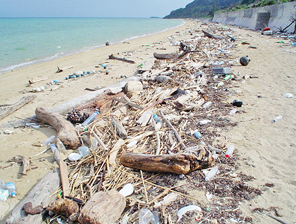 宮古島の海岸清掃