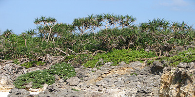 Miyako Island